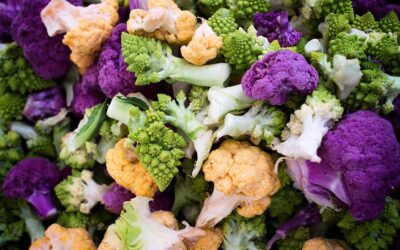 WHY BROCCOLI IS CALLED THE CANCER WHISPERER